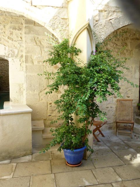 Hotel Cote Cour Chambres D'Hotes Bourg-Saint-Andéol 외부 사진